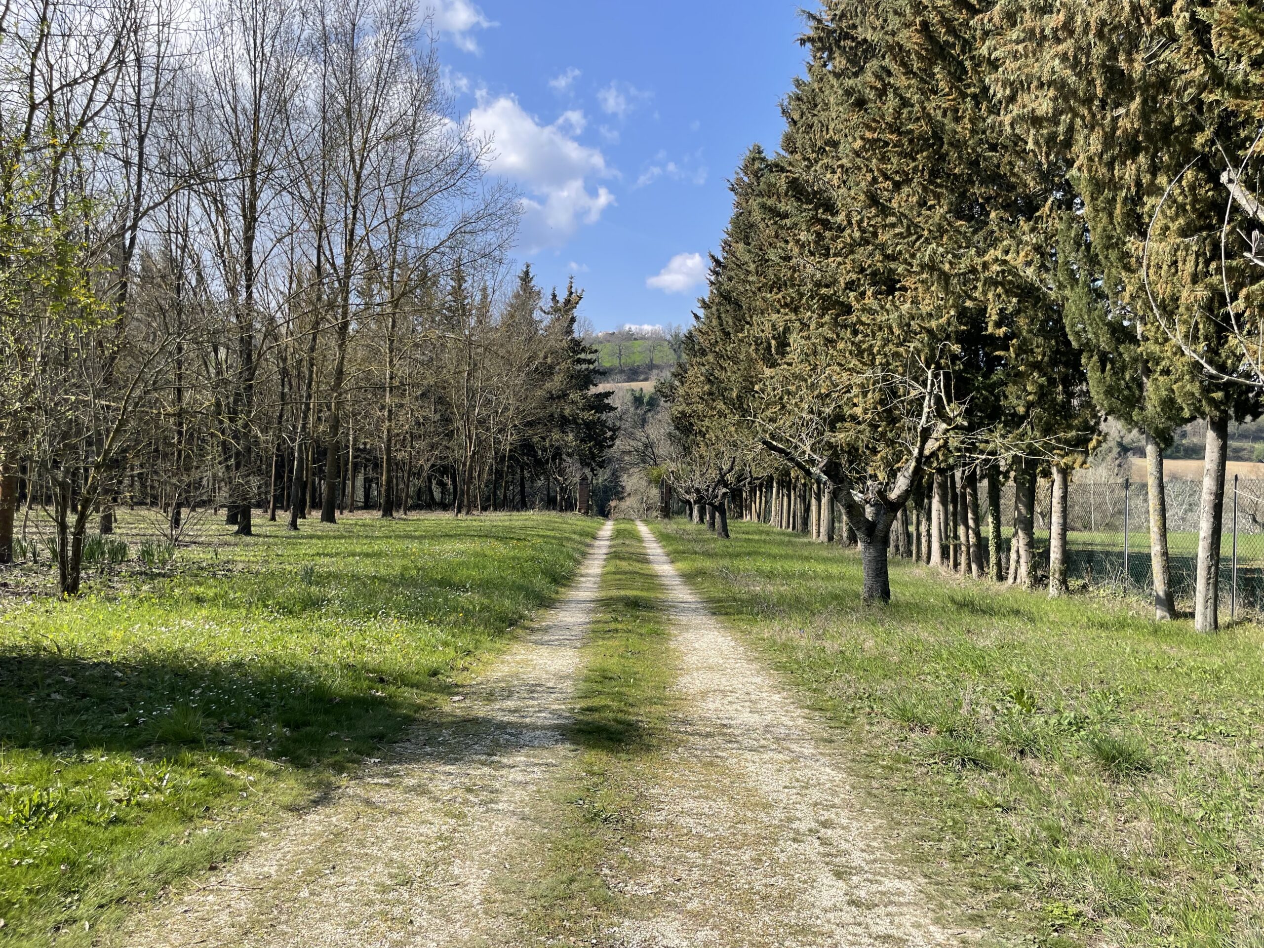 Villa indipendente a Fossombrone con 35.000 mq di bosco e uliveti - Rif.A102 - immagine 9
