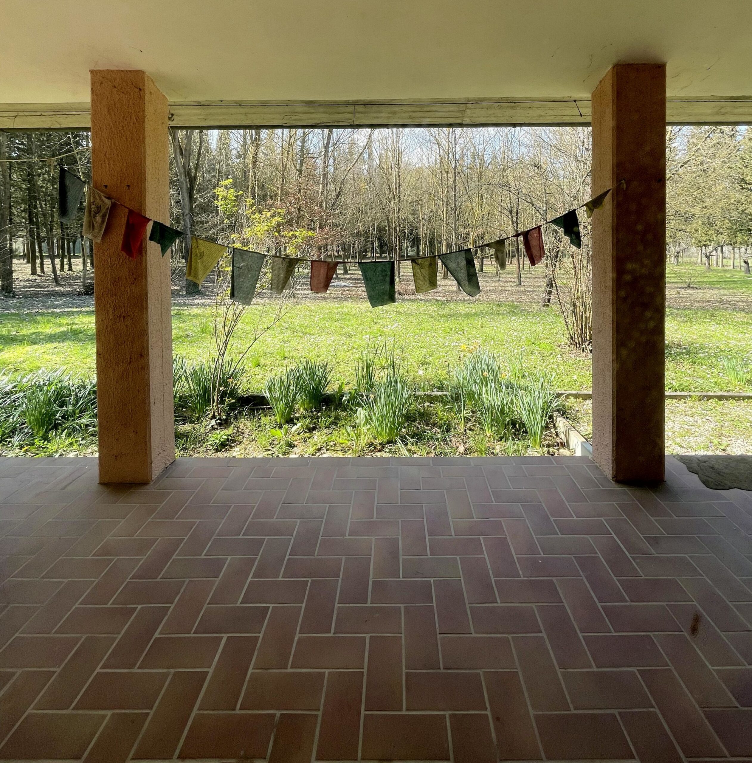 Villa indipendente a Fossombrone con 35.000 mq di bosco e uliveti - Rif.A102 - immagine 17