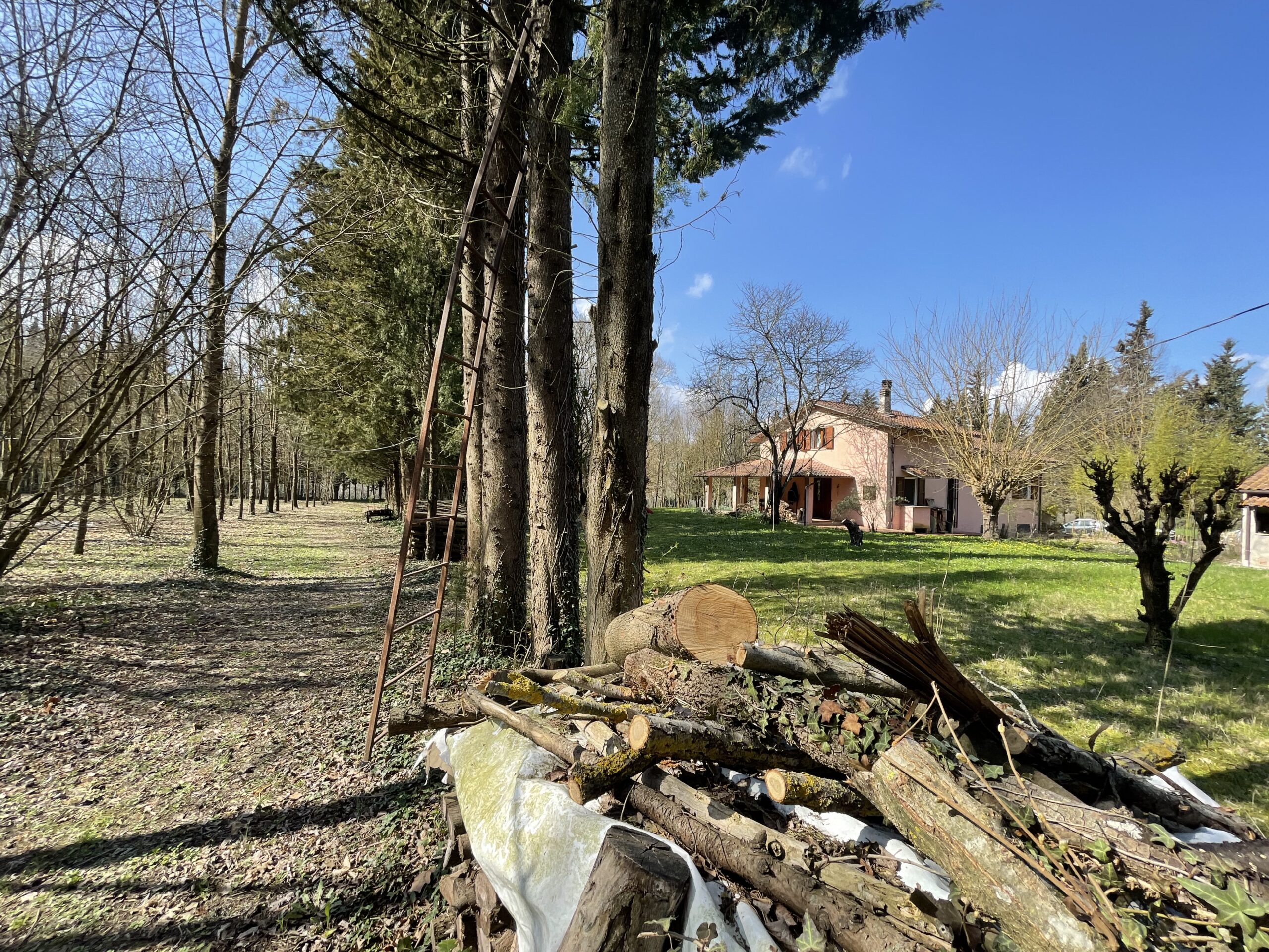 Villa indipendente a Fossombrone con 35.000 mq di bosco e uliveti - Rif.A102 - immagine 6