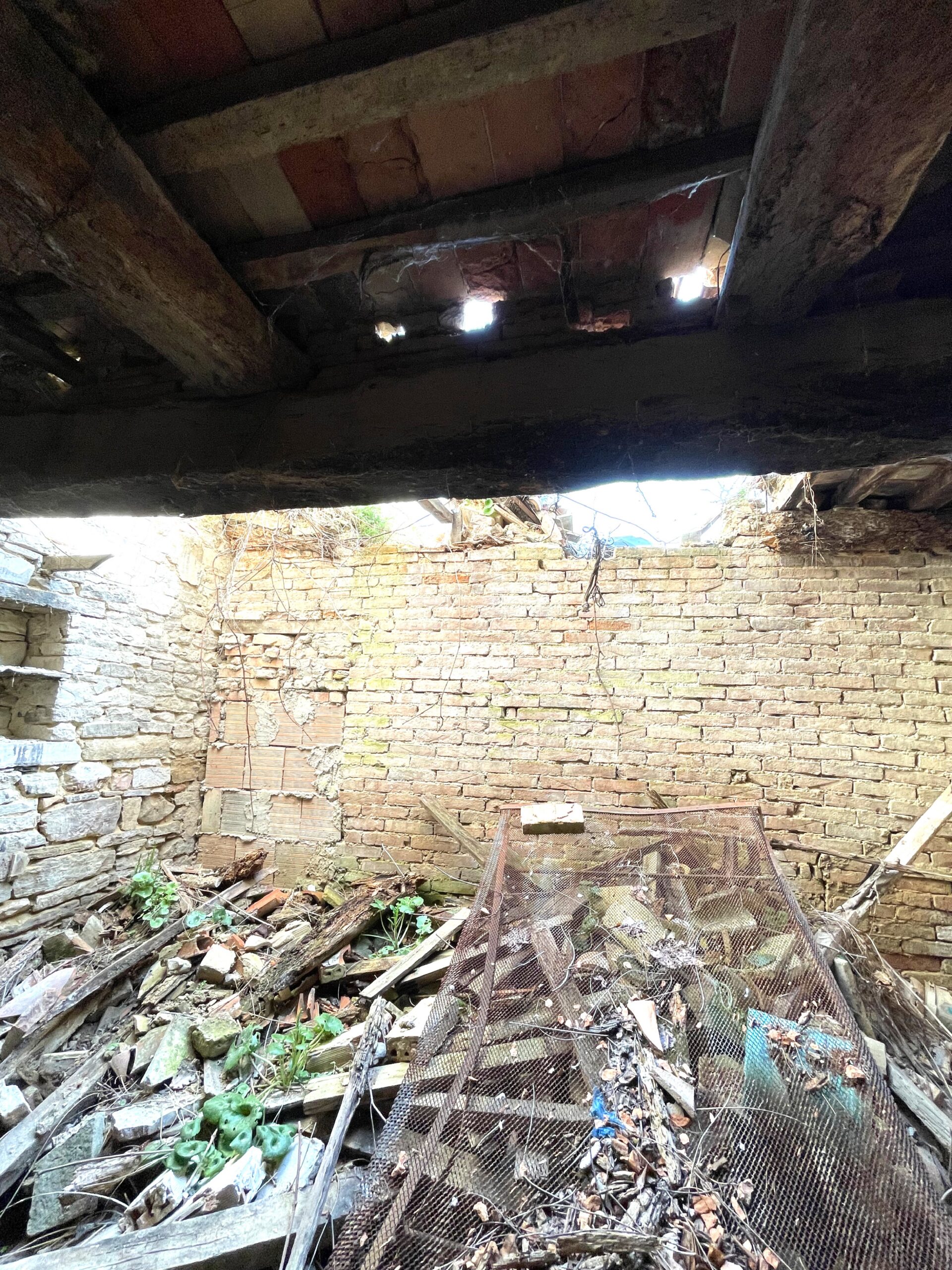 Casale da ristrutturare a Isola del Piano con 8136mq di verde e vista aperta- Rif. CDR222 - immagine 10