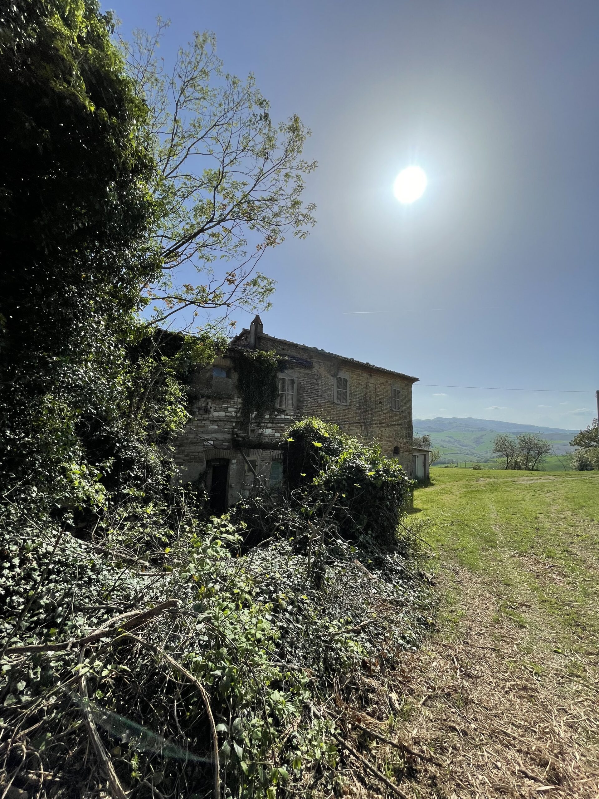 Casale da ristrutturare a Isola del Piano con 8136mq di verde e vista aperta- Rif. CDR222 - immagine 9