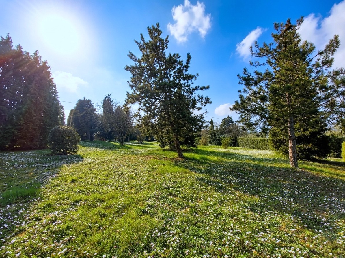 Casa indipendente con Vista Mare a Pesaro: Ampio Parco di 9700 mq. tra Mare e Colline - Rif. V414 - immagine 2