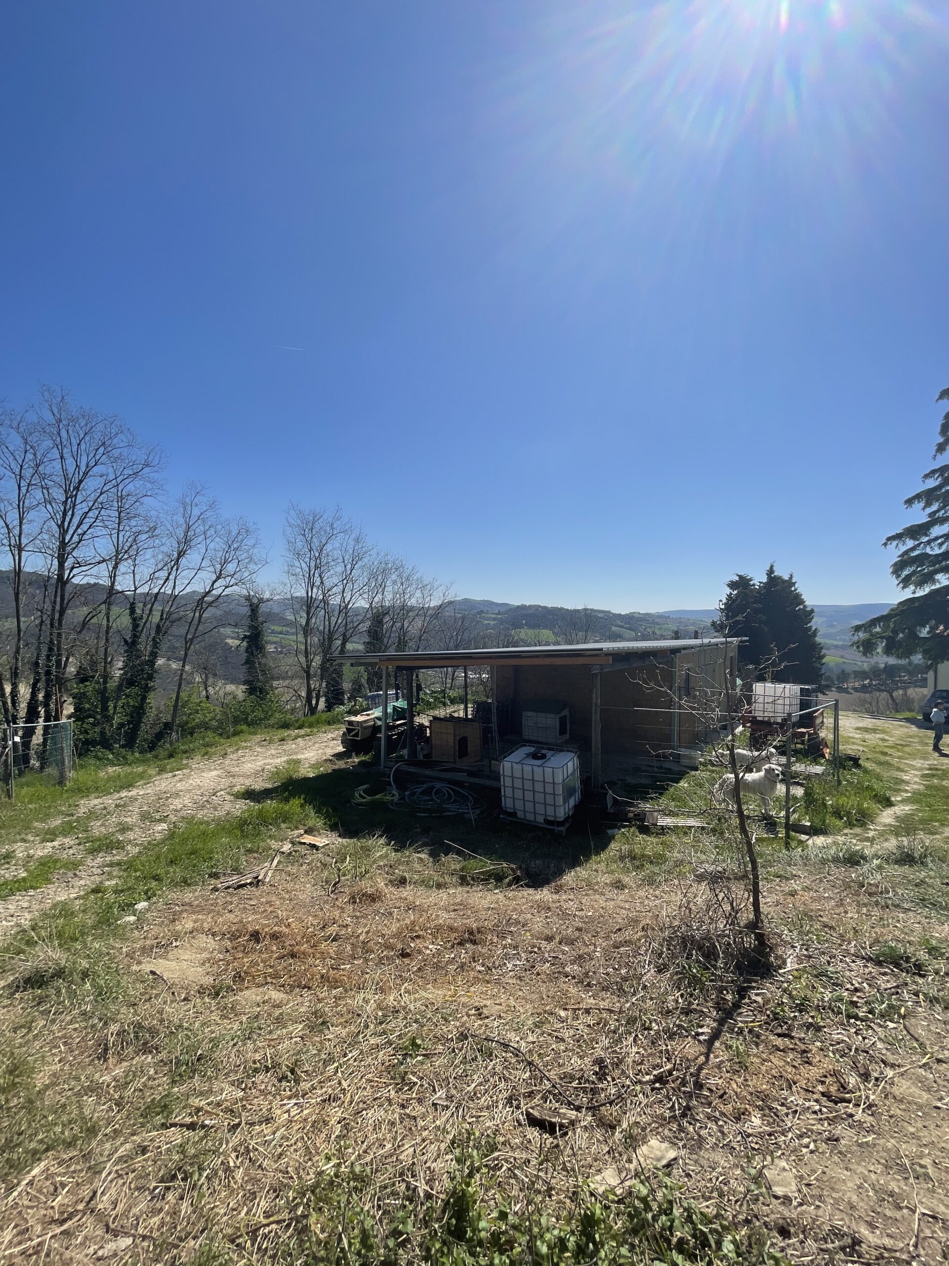 Casale Ristrutturato A4 con 9 ettari di terreno a Vallefoglia - Rif. CR373 - immagine 30