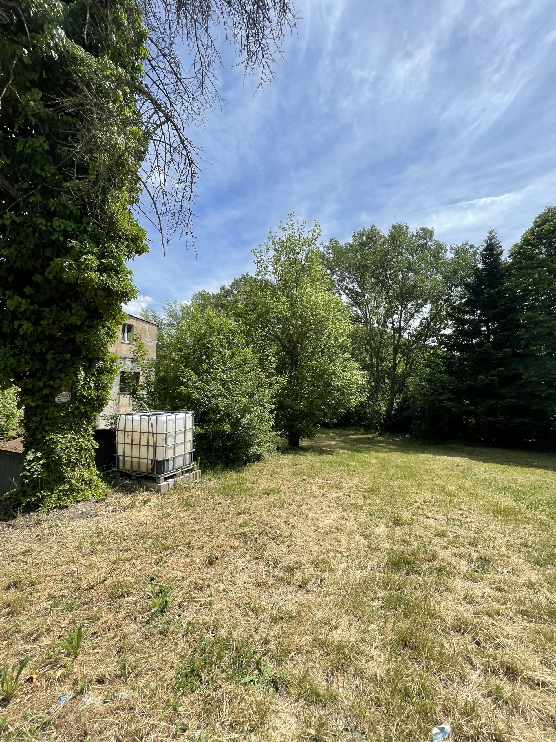 Palazzina da Ristrutturare con Parco Privato ad Acqualagna – Rif. V405 - immagine 5