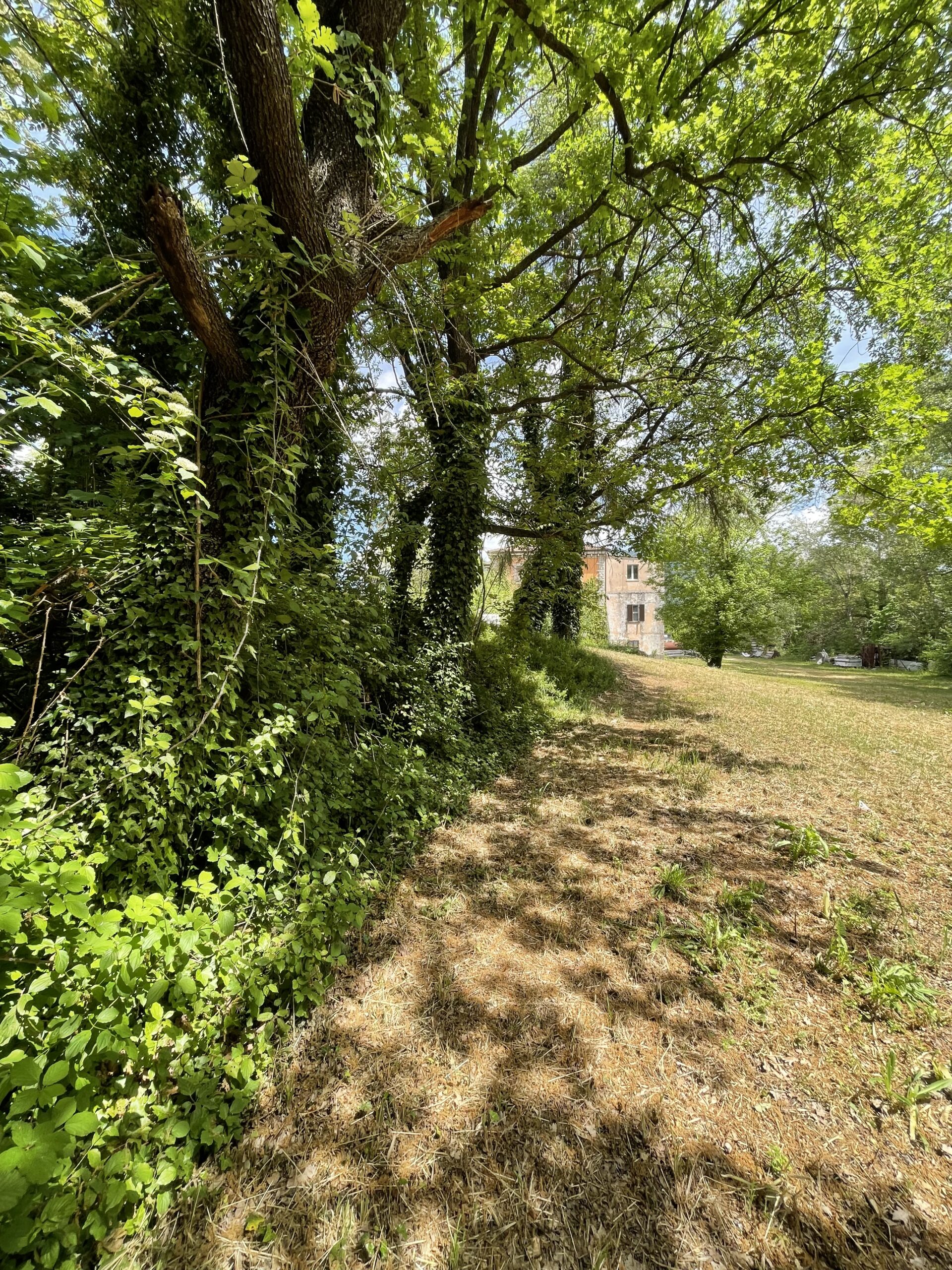 Palazzina da Ristrutturare con Parco Privato ad Acqualagna – Rif. V405 - immagine 7