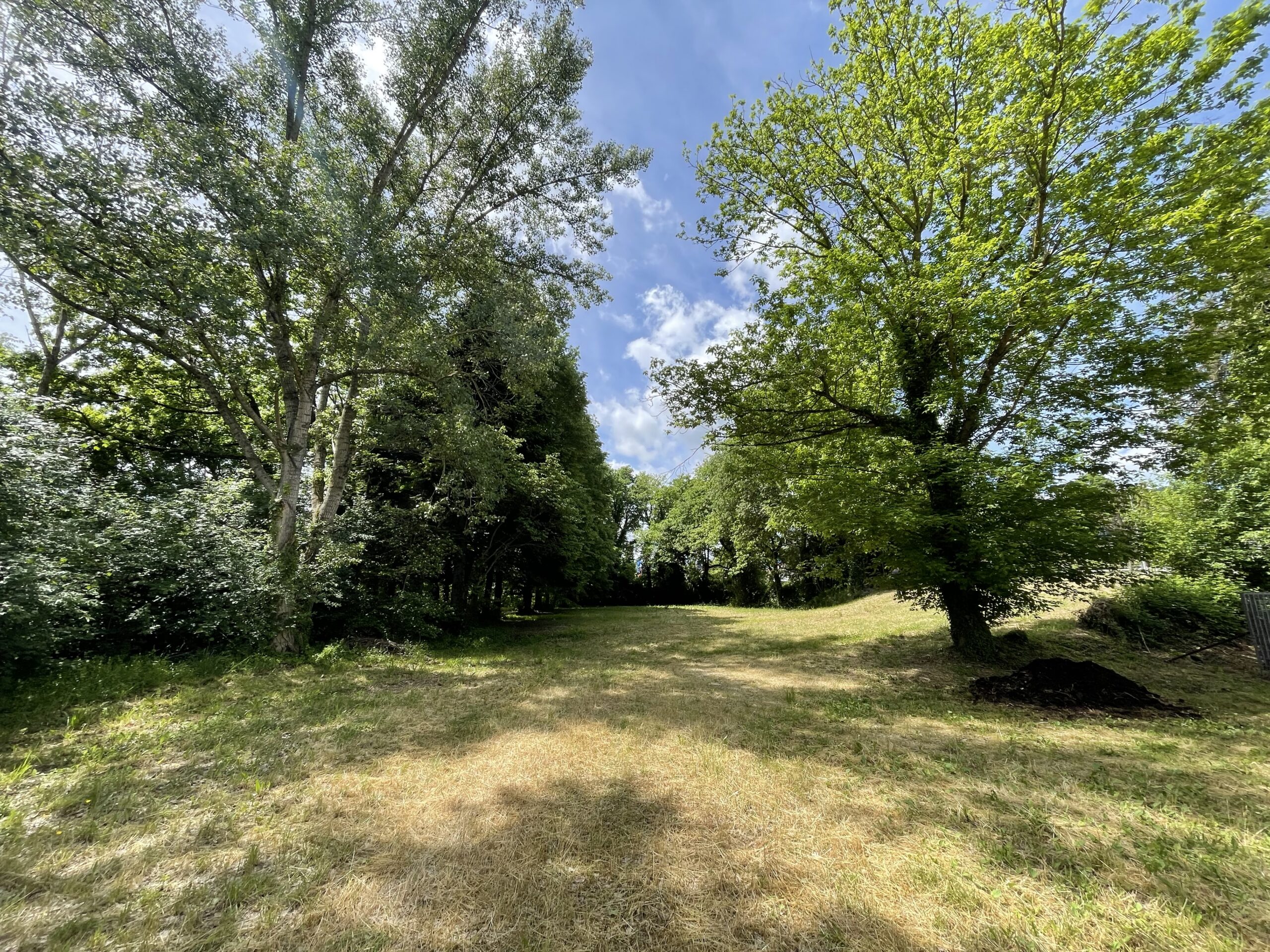 Palazzina da Ristrutturare con Parco Privato ad Acqualagna – Rif. V405 - immagine 9