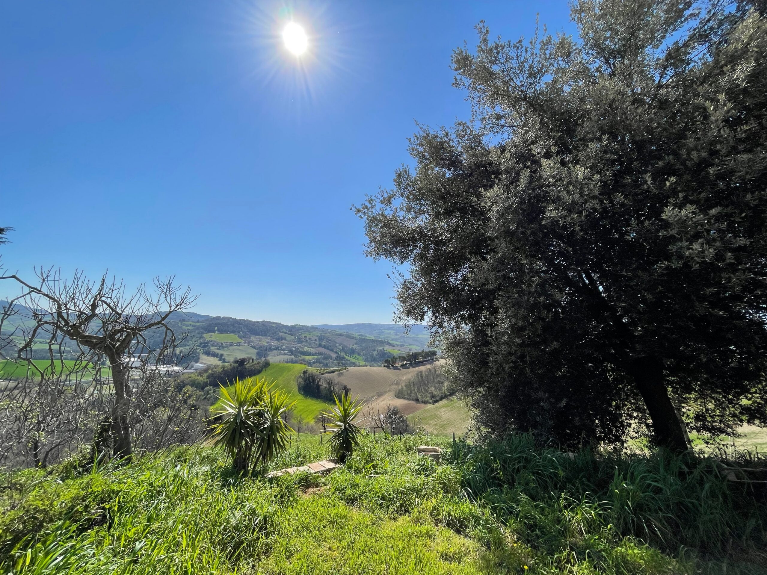 Casale Ristrutturato A4 con 9 ettari di terreno a Vallefoglia - Rif. CR373 - immagine 4