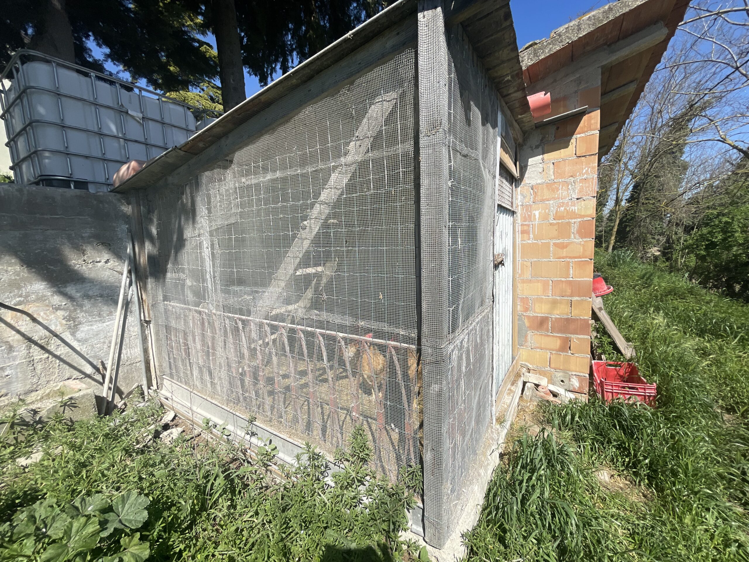 Casale Ristrutturato A4 con 9 ettari di terreno a Vallefoglia - Rif. CR373 - immagine 29