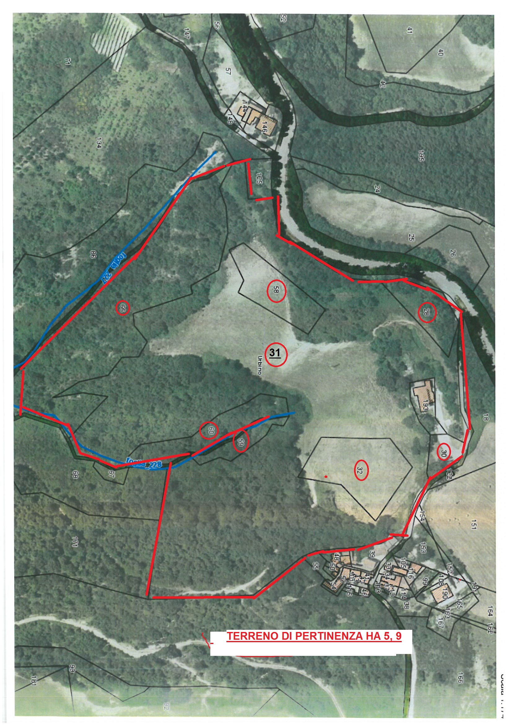 Casale in Vendita a Urbino con 6 Ettari di Terreno e Panorama – Rif. CDR265 - immagine 5