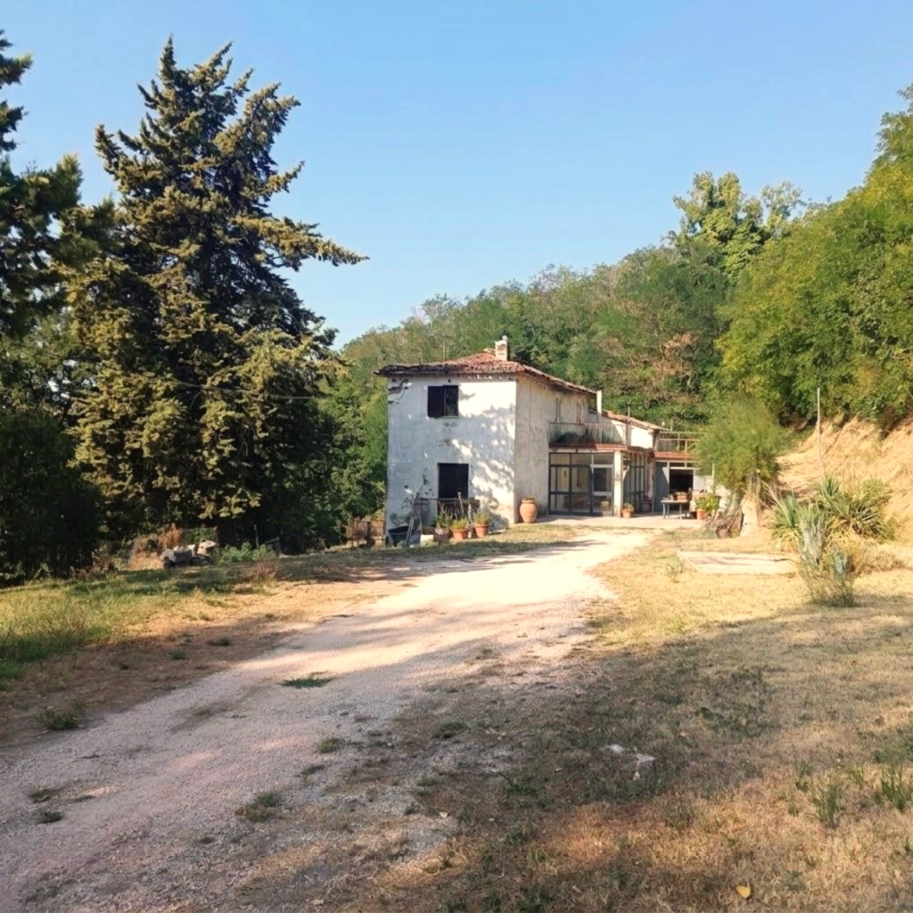 Casale in Vendita a Urbino con 6 Ettari di Terreno e Panorama – Rif. CDR265
