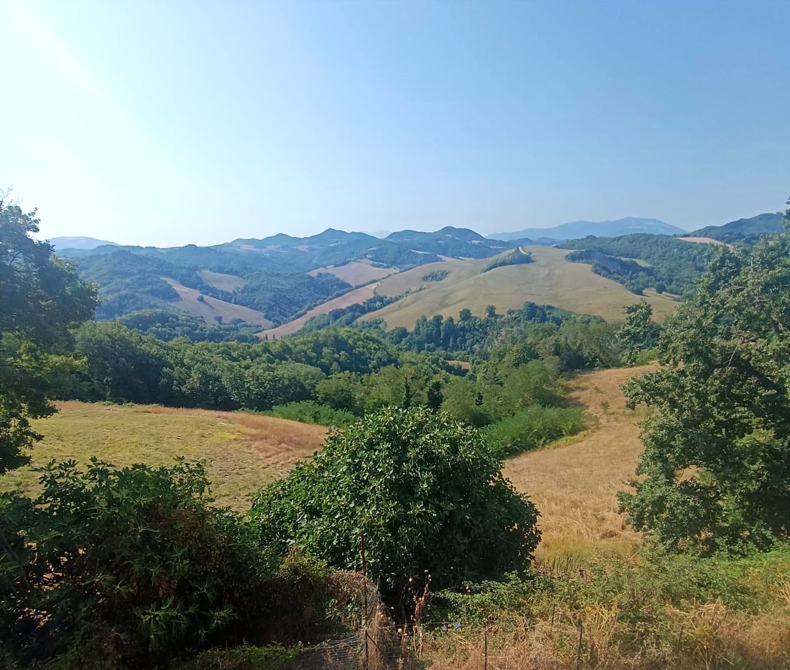Casale in Vendita a Urbino con 6 Ettari di Terreno e Panorama – Rif. CDR265 - immagine 2
