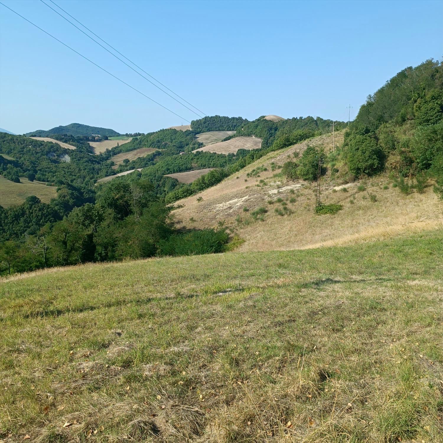 Casale in Vendita a Urbino con 6 Ettari di Terreno e Panorama – Rif. CDR265 - immagine 4